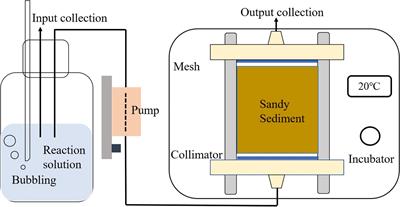 Response of Nitrate Processing to Bio-labile Dissolved Organic Matter Supply Under Variable Oxygen Conditions in a Sandy Beach Seepage Face